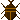 insect_kabuto_s.gif