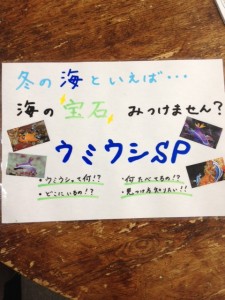 うみうし
