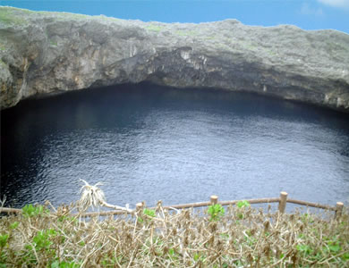 通り池