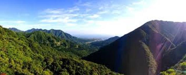 屋久島②