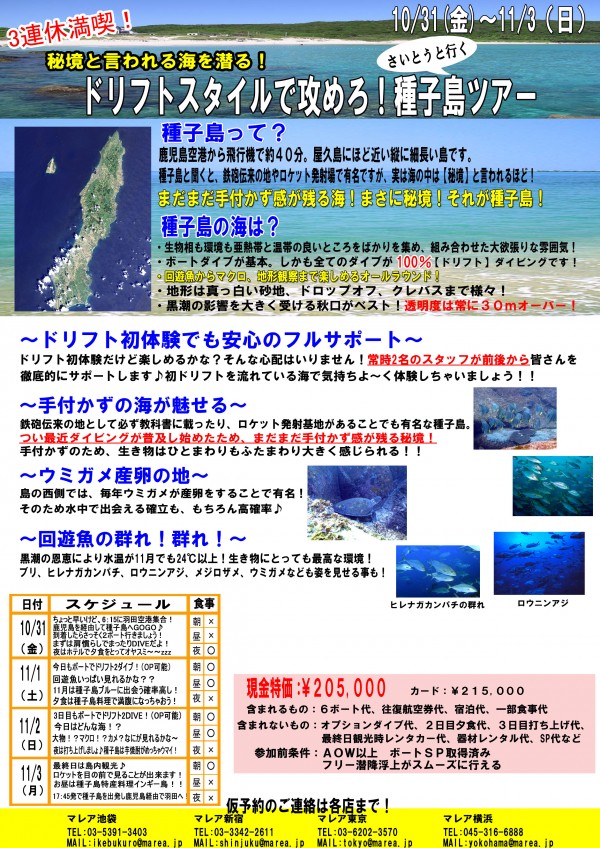 種子島セールスレター