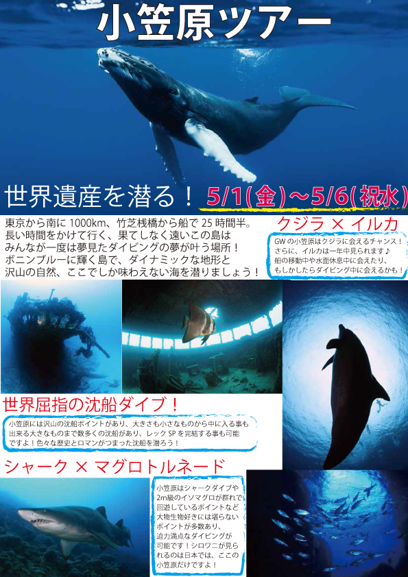 小笠原セールスレター表