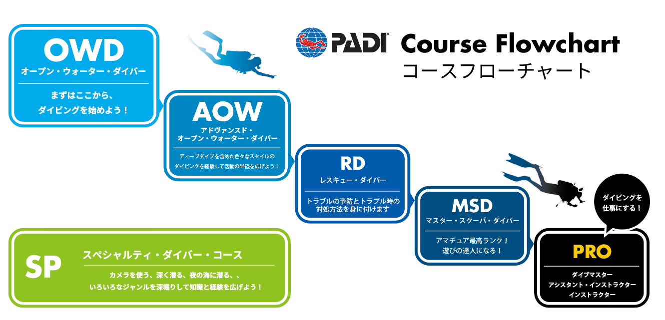 PADIダイビングコースの種類とランクアップについて
