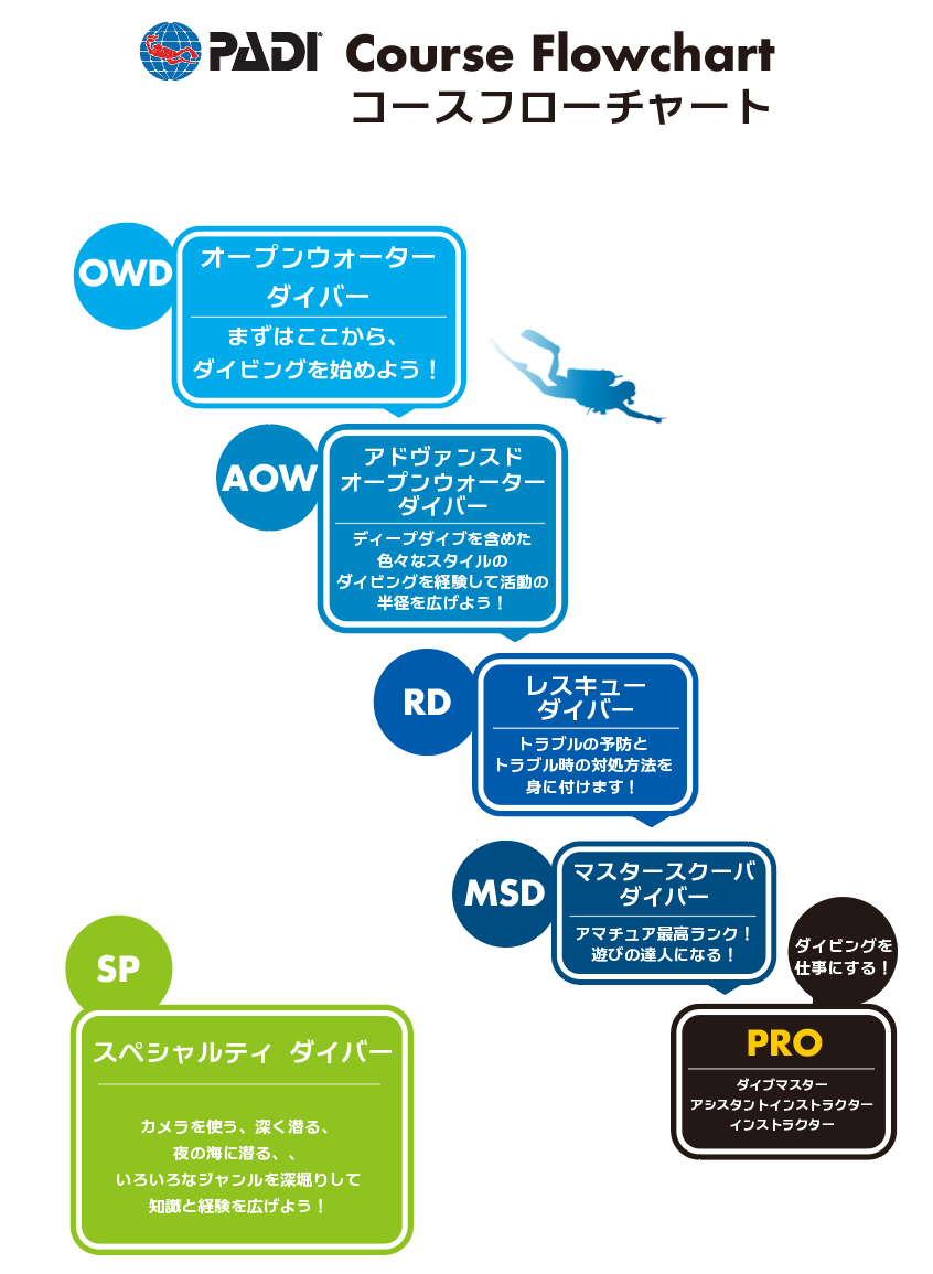 PADIダイビングコースの種類とランクアップについて