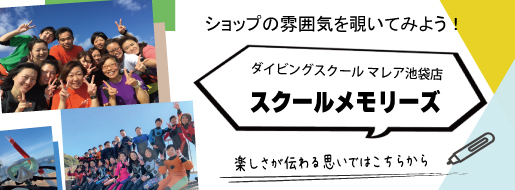 お店の雰囲気