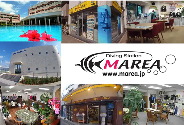 マレアネットワークが充実で安心