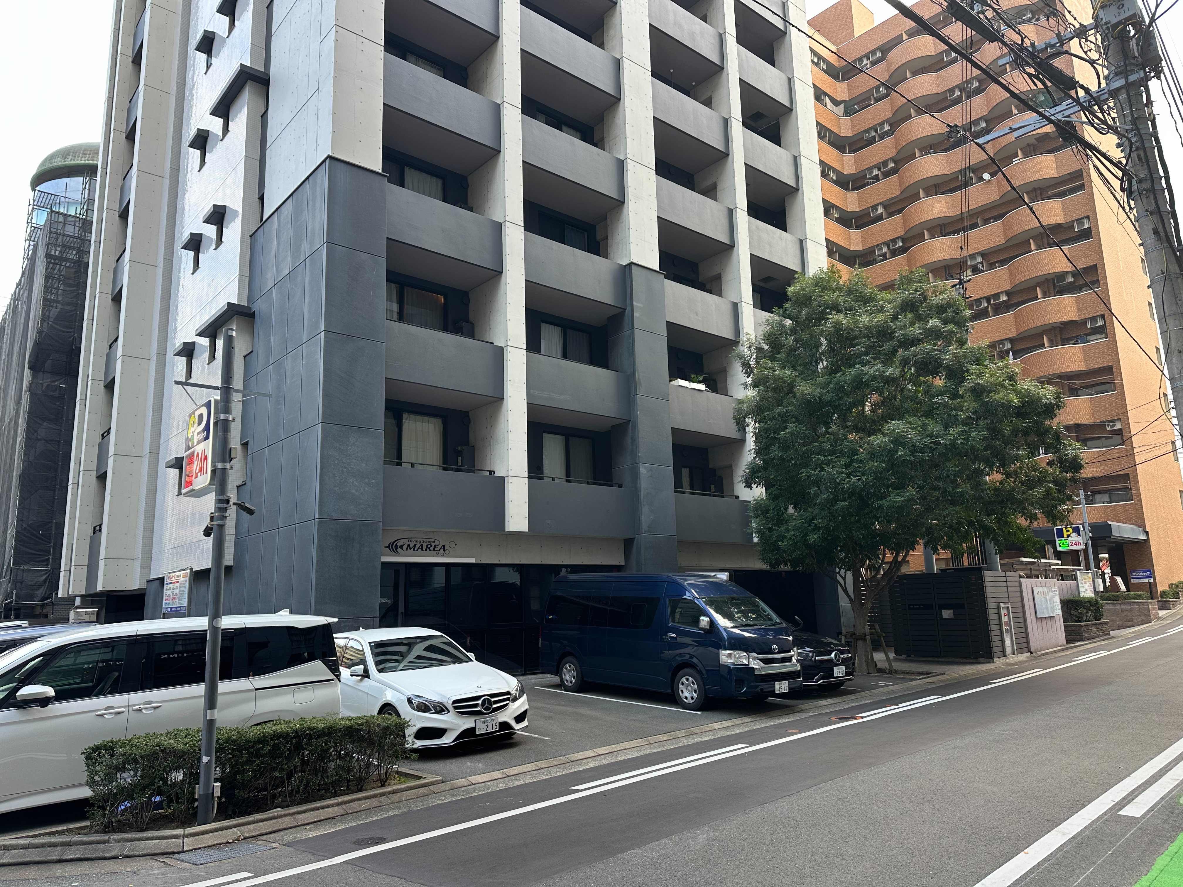 大きな木が立ってるグレーの建物の１F、ガラス張りのお店がマレア福岡博多です！