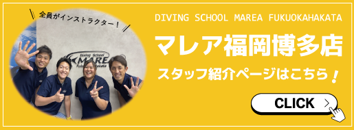 スタッフ紹介