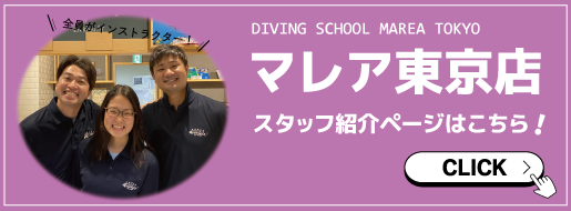 スタッフ紹介