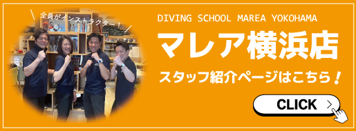 スタッフ紹介