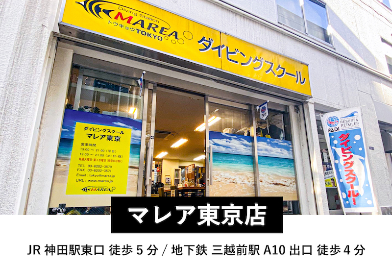 ダイビングスクール・マレア東京店