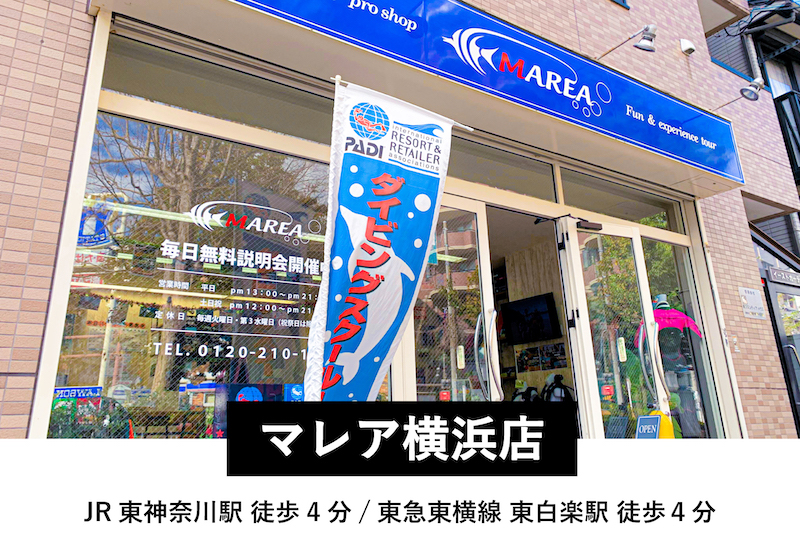 ダイビングスクール・マレア横浜店