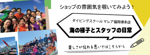 お店の雰囲気