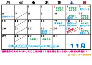 １１月ツアー