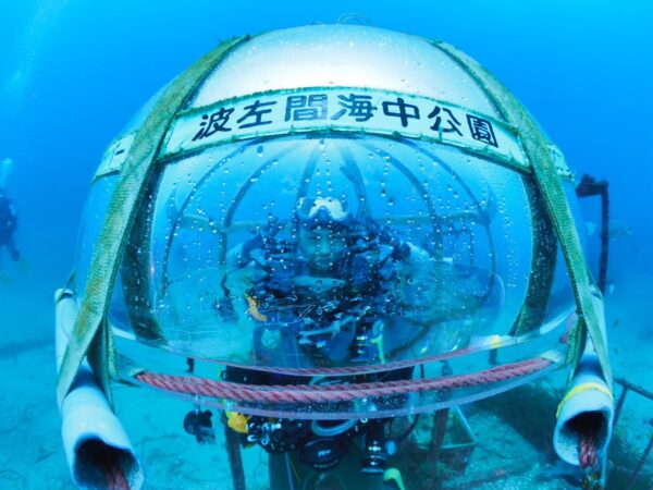 【水中神社？マンボウ？イルカまで！】千葉県・波左間ダイビングスポット紹介！！