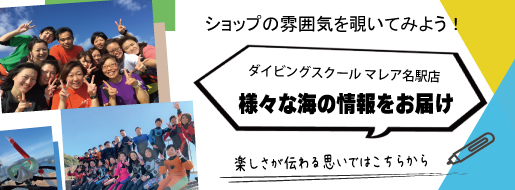 お店の雰囲気