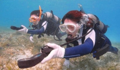 PADI AOWダイバーコース