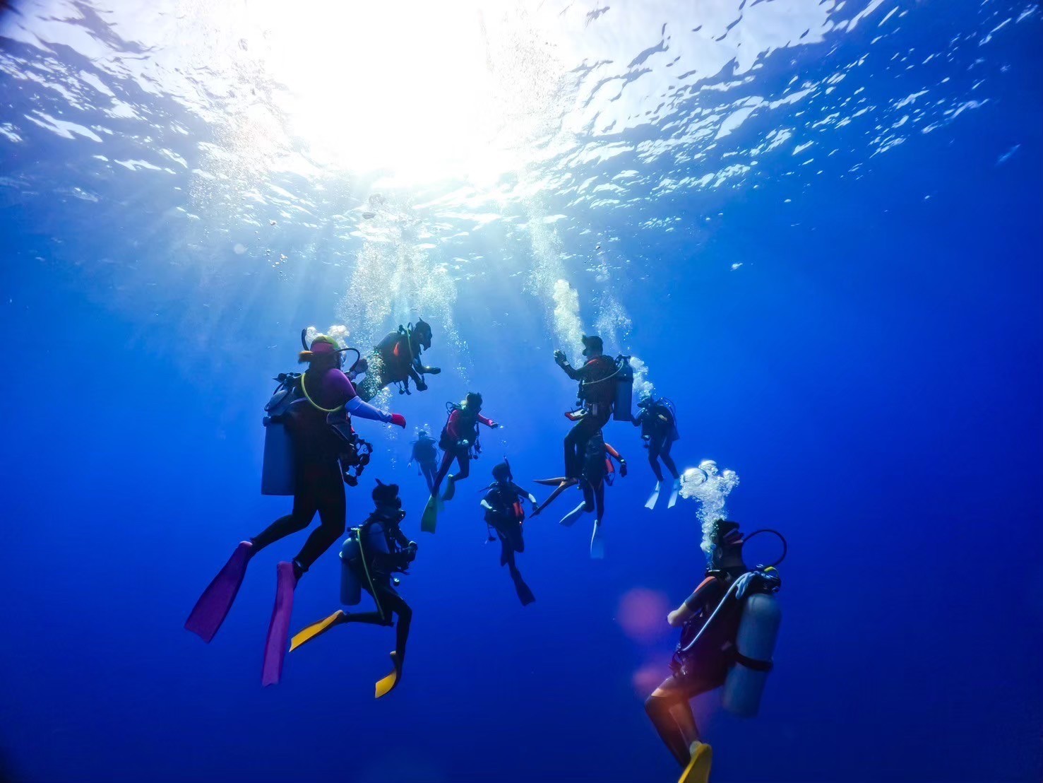 世界自然遺産の島！ 小笠原諸島のダイビングの魅力をお届け！｜マレア 