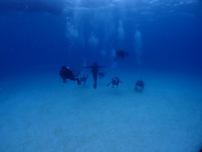 S__153731095