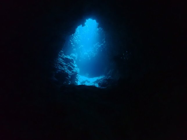 S__61546500