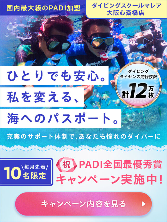 画像に alt 属性が指定されていません。ファイル名: 20260306_1200x1600_%E6%A0%AA%E5%BC%8F%E4%BC%9A%E7%A4%BE%E3%83%9E%E3%83%AC%E3%82%A2%E3%82%AF%E3%83%AA%E3%82%A8%E3%82%A4%E3%83%88_B1_%E5%A4%A7%E9%98%AA%E5%BF%83%E6%96%8E%E6%A9%8B%E5%BA%97-644x859.jpg