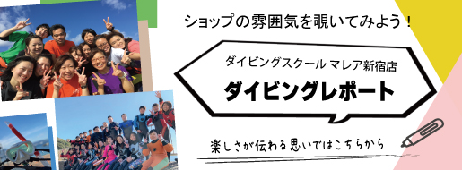 お店の雰囲気