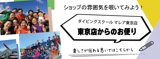 お店の雰囲気
