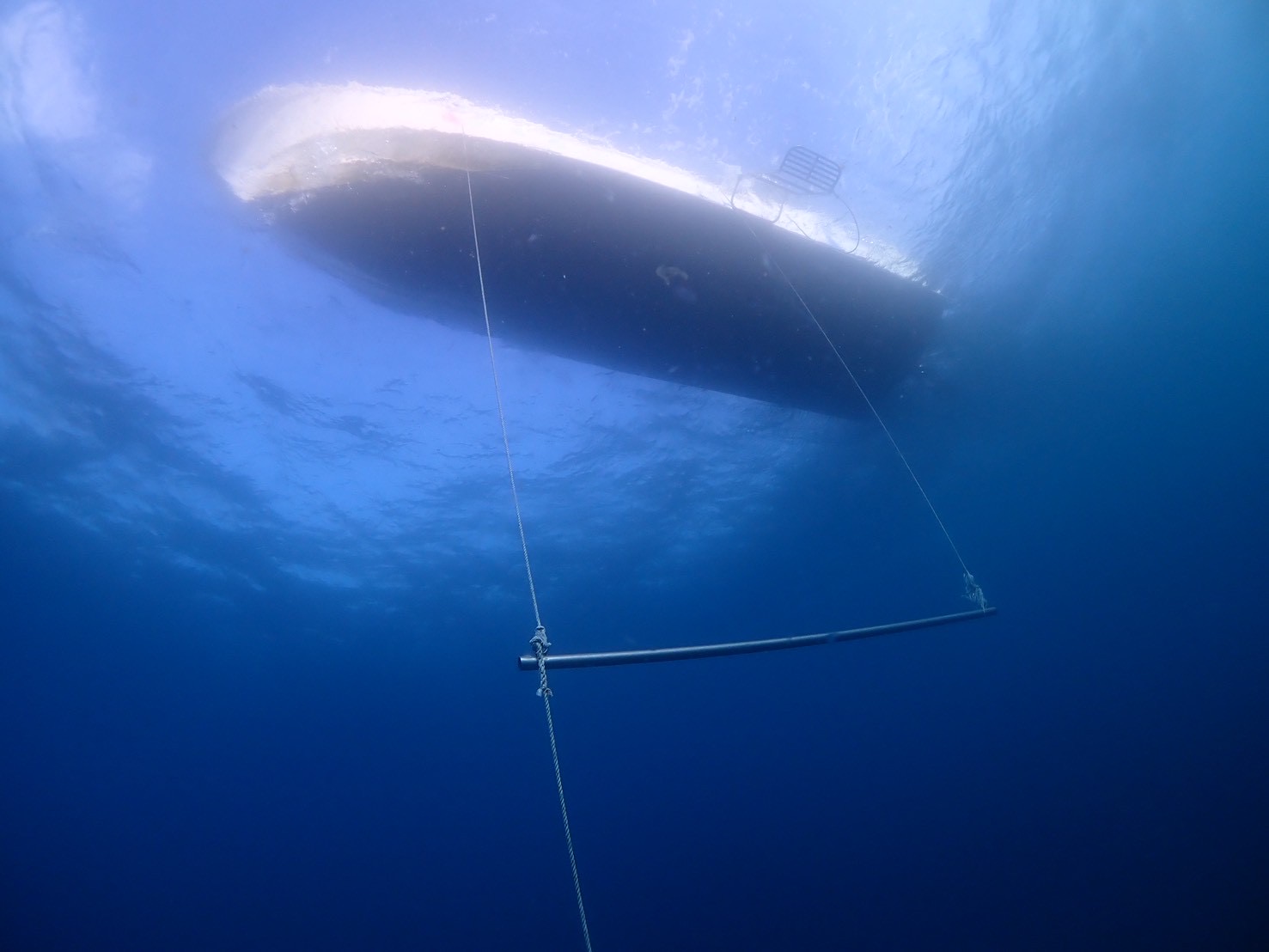 キレイな青い海が復活！これぞ冬の海です！！！