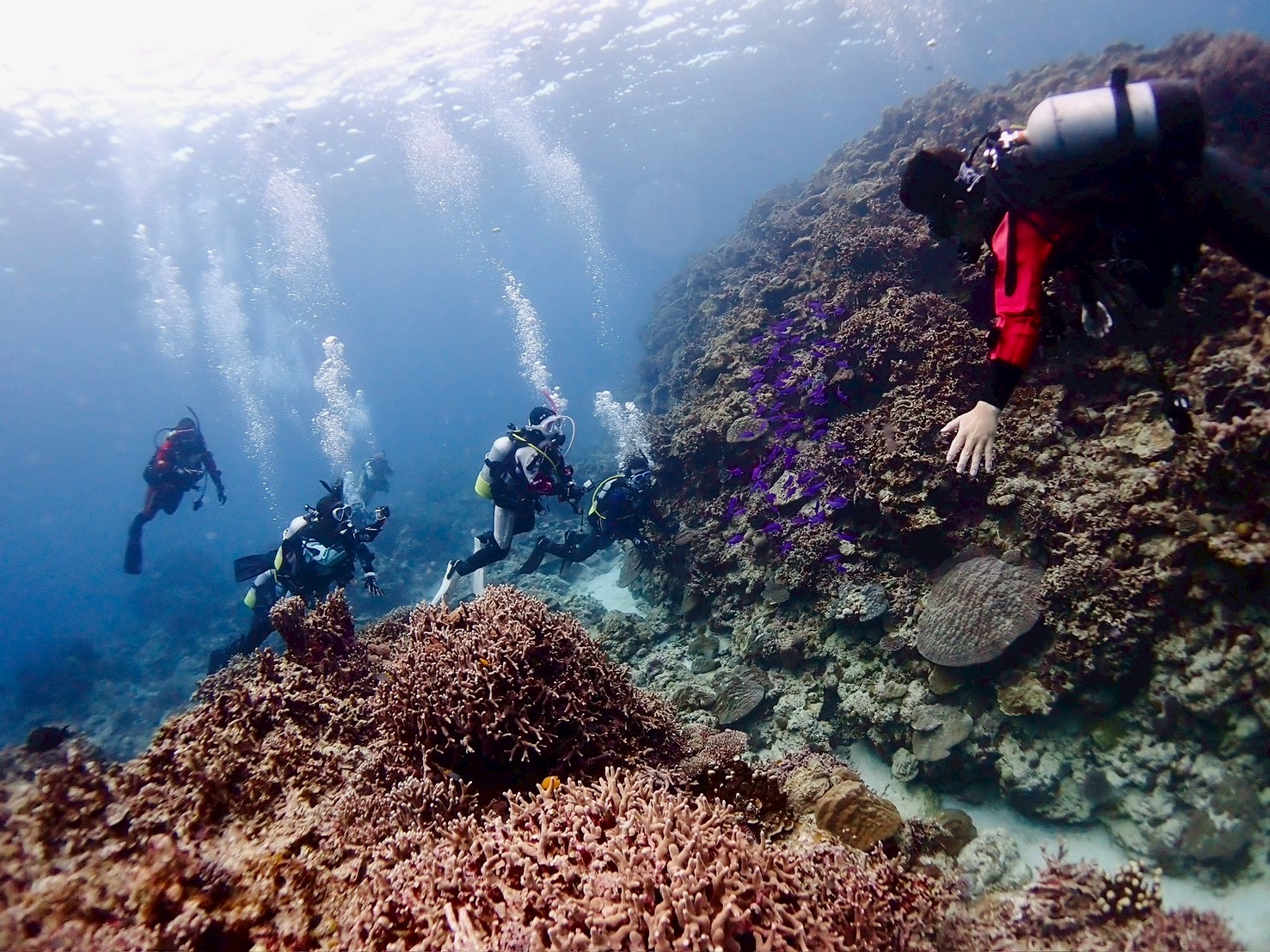 冬ならではのダイビングの楽しみ方がいっぱい！奄美大島では・・・あの大物に遭遇！！