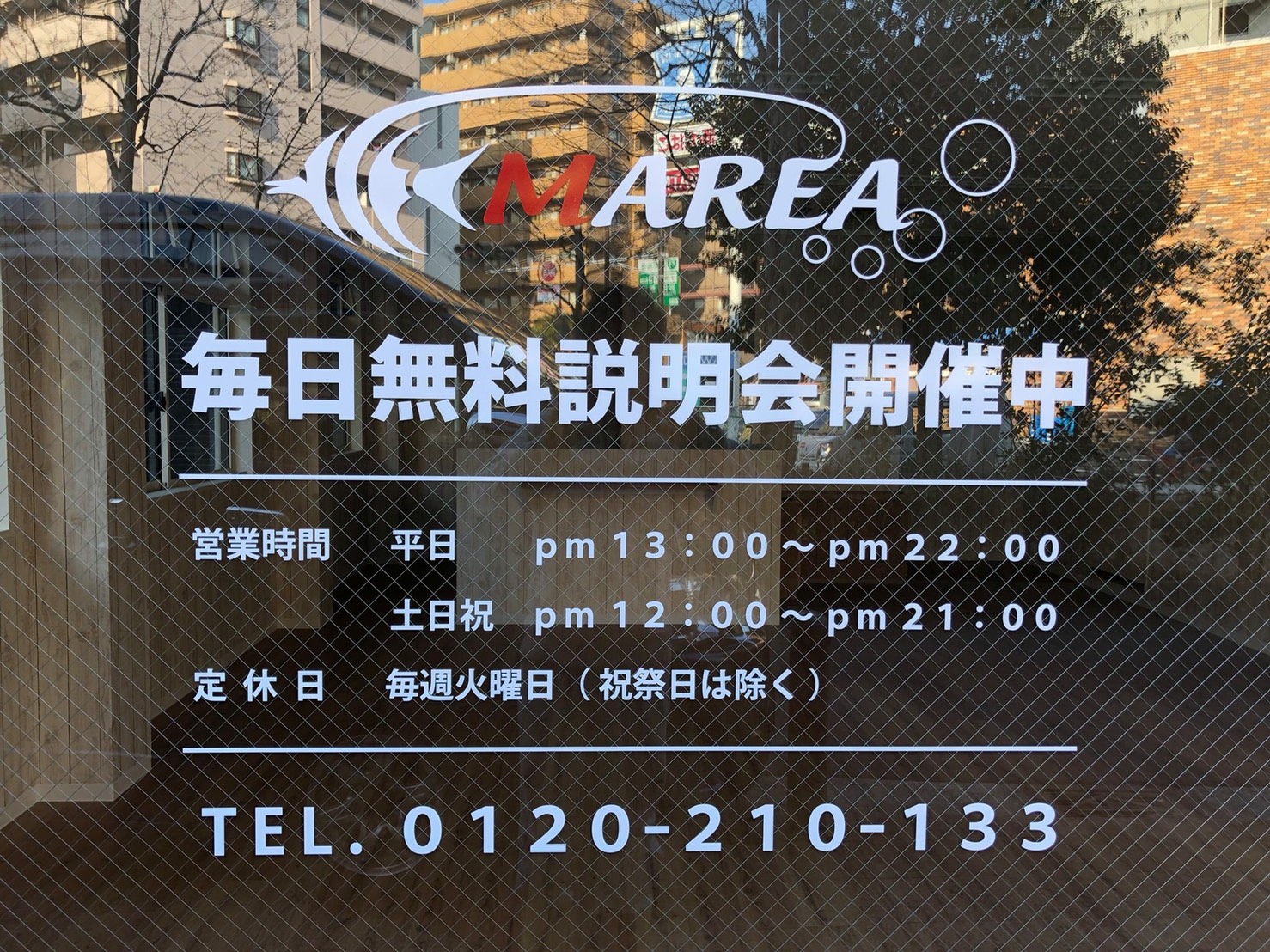 S__39231516