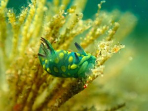 IMG-3396