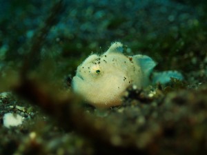 IMG-3398
