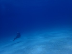 S__6504452