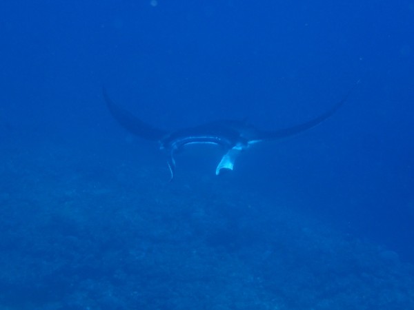 S__6504453