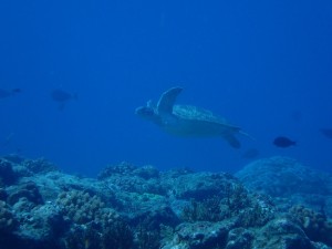 S__6504454