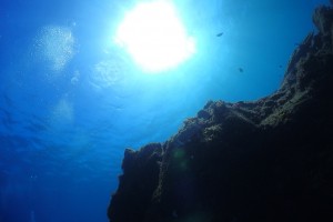S__56016984