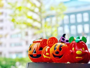 IMG_3604