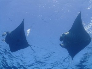 S__2916357