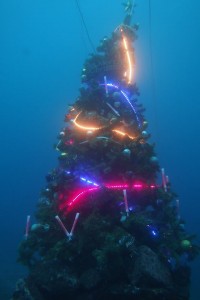 IMG_4353