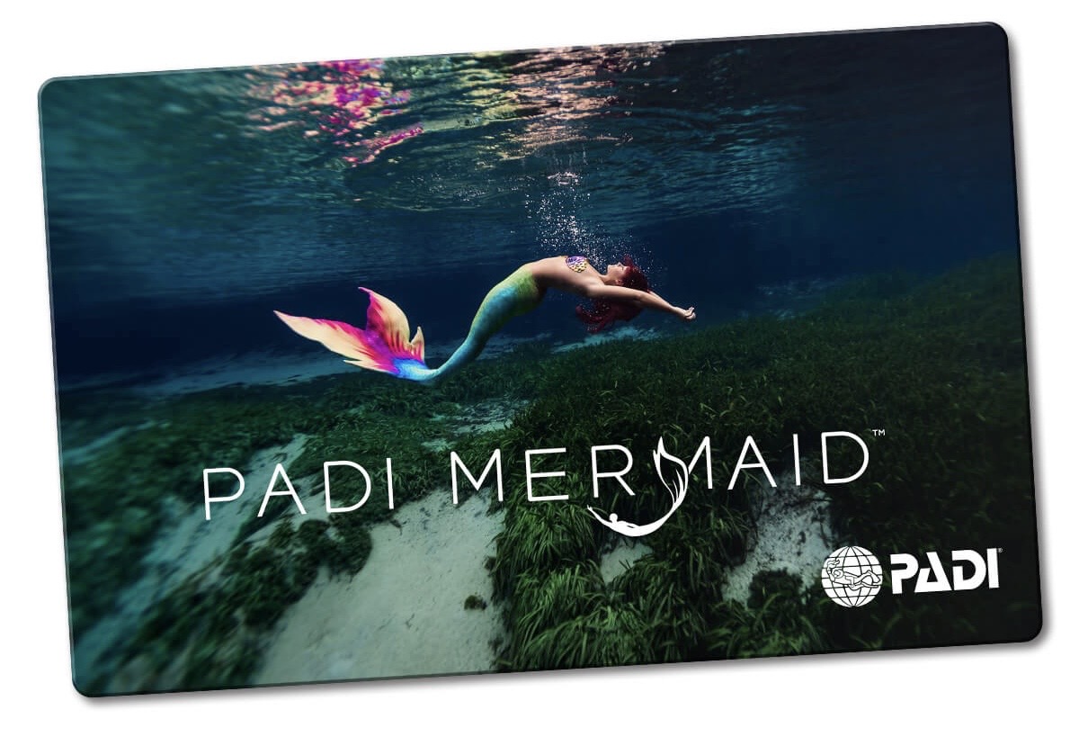 申込み解禁間近！PADIマーメイドラコースのご紹介☆彡