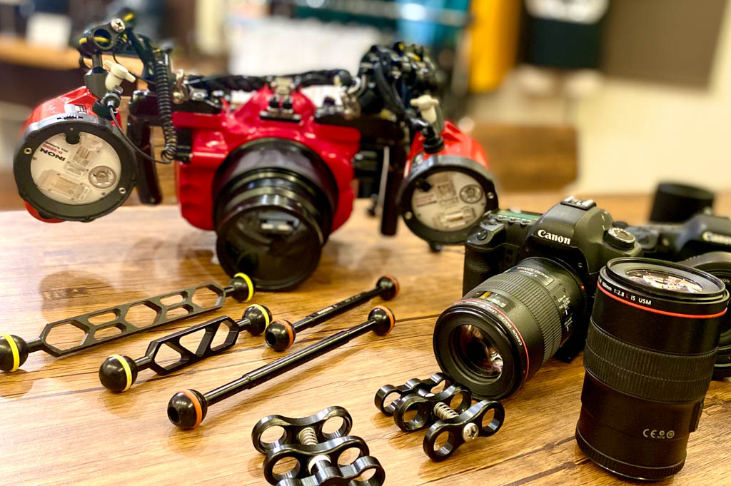 最初に取得するCカード(ライセンスカード)の種類とは?