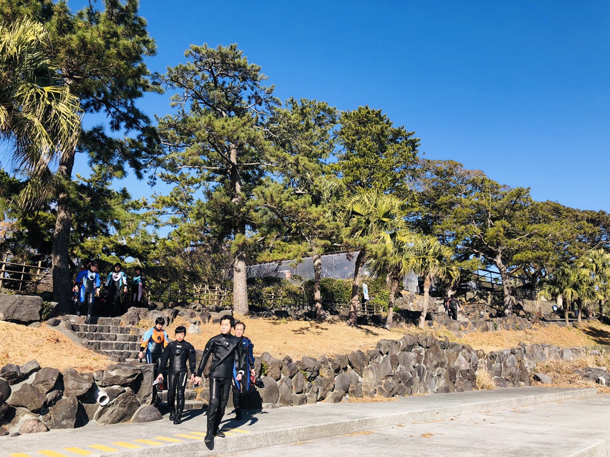 伊豆海洋公園でダイビング