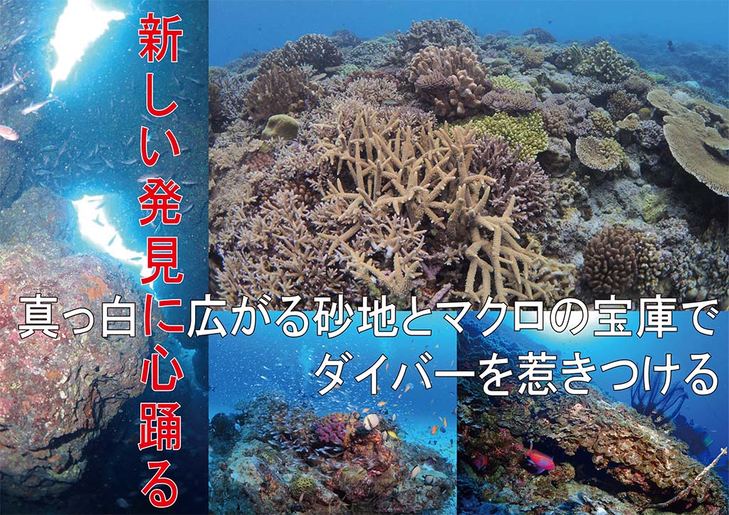 知られざるサンゴ礁の秘境！