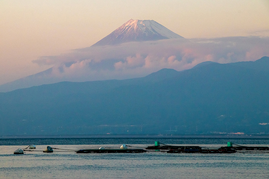平沢ダイビングと富士山