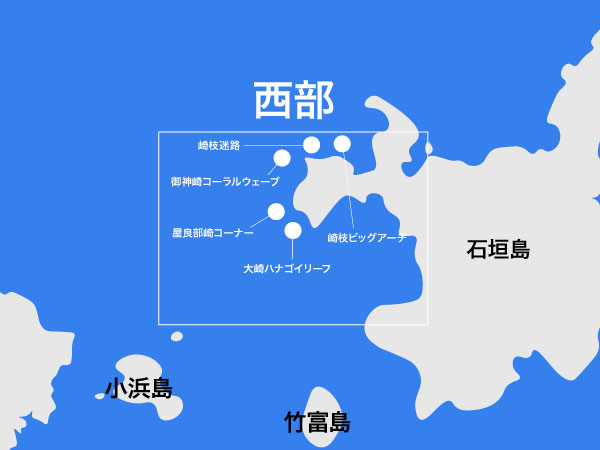 石垣島ダイビングポイント 西部