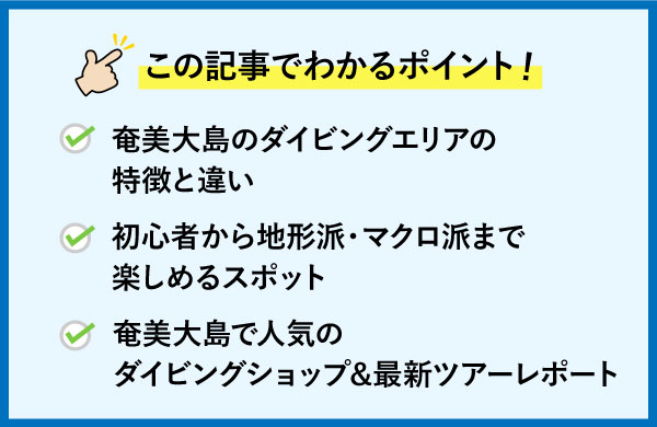 奄美大島記事のポイント