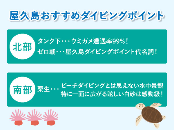 屋久島のおすすめダイビングポイント
