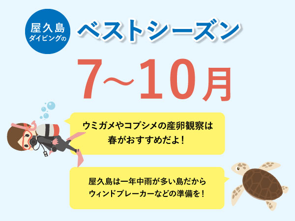 屋久島のベストシーズン
