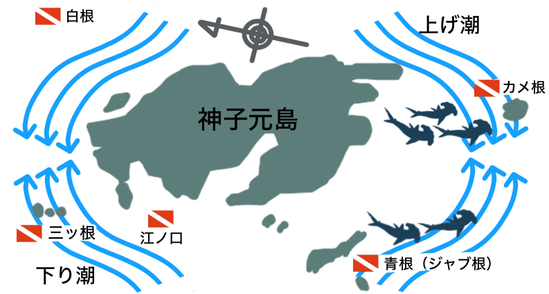 神子元島のダイビングマップ