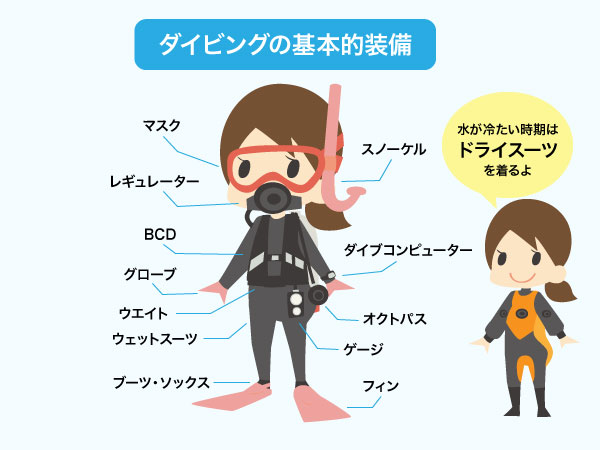 ダイビングの基本的装備